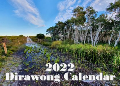 Thumbnail for the post titled: 2022 Calendars